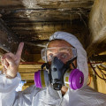 Mold Remediation For Healthier Homes In Taylorsville: Boost Your HVAC And Indoor Air Quality