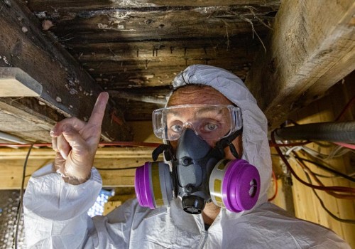 Mold Remediation For Healthier Homes In Taylorsville: Boost Your HVAC And Indoor Air Quality